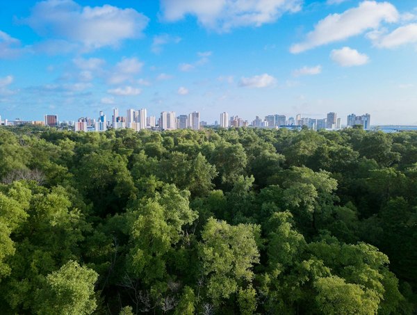 Avez-vous des astuces pour une meilleure hygiène buccale à Saint-Jean-sur-Richelieu ?