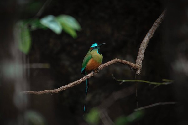 les astuces pour réussir sa séance de yoga à la maison