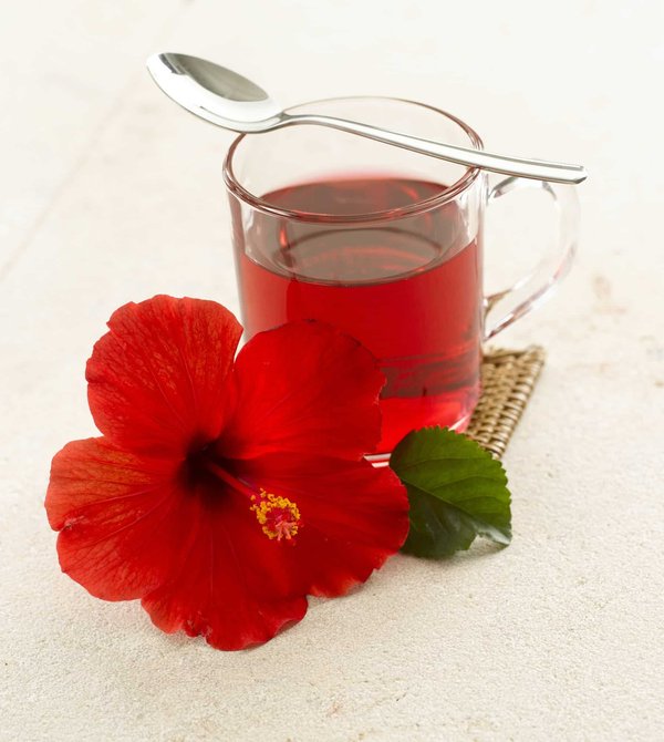Infusions d'hibiscus : Quels bienfaits pour le corps ?