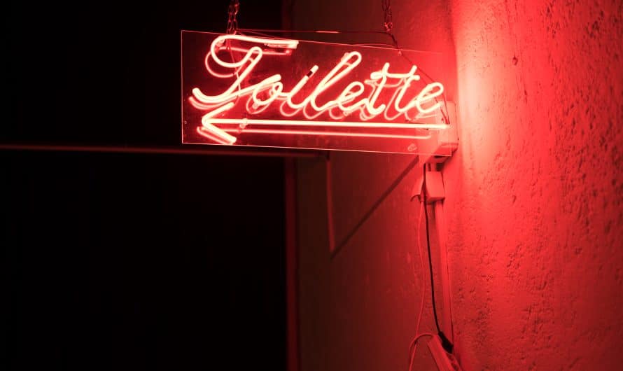 Quels types de toilettes sèches existent-ils ?